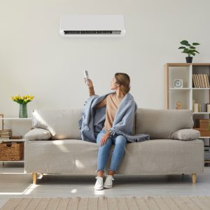 Embrace Comfort Year-Round: The Benefits of Running Your Air Conditioner in Winter